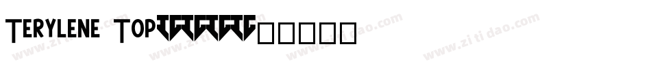 Terylene Top(1)字体转换